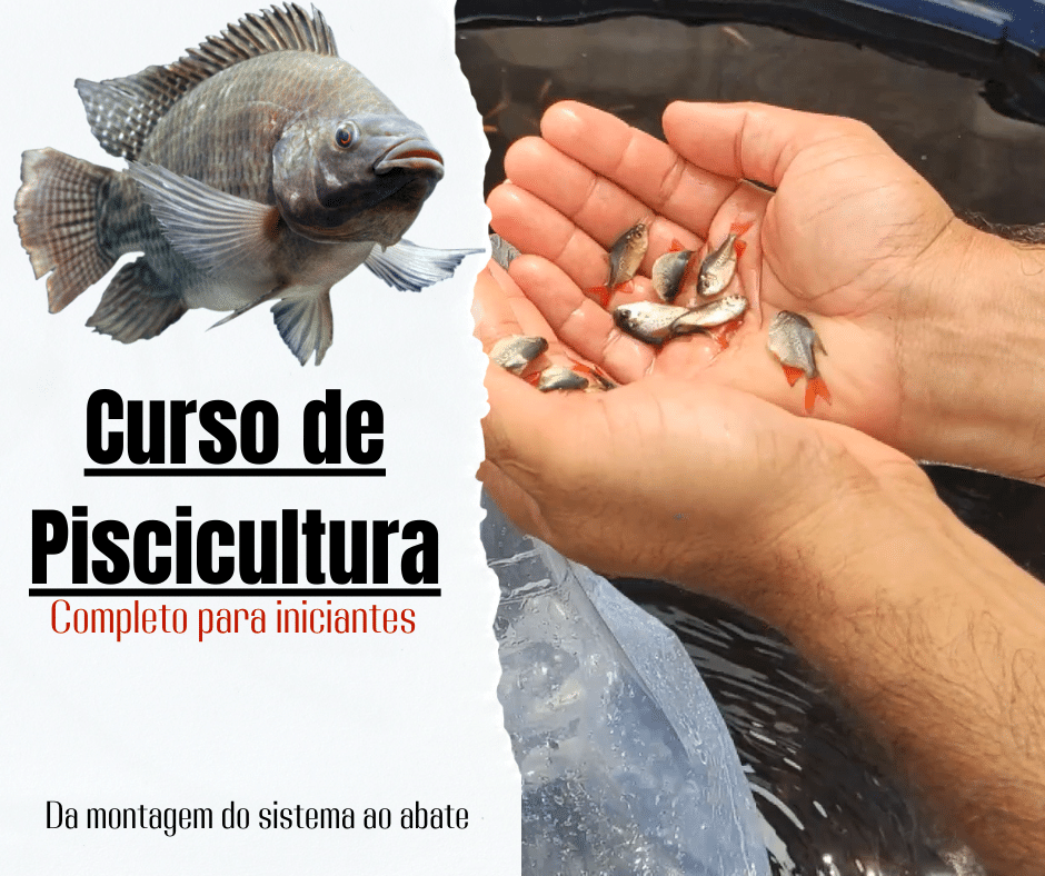 Curso de Piscicultura