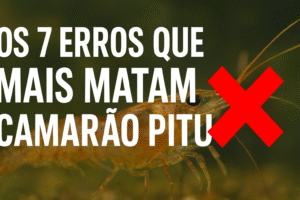 Os 7 Erros Que Mais Matam Camarão Pitu